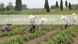 关于蔬菜的英语单词10个简单的？