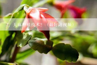 天麻种植技术？（最好附视频）