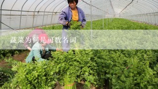 蔬菜为何是可数名词