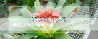 简单又好吃的家常菜