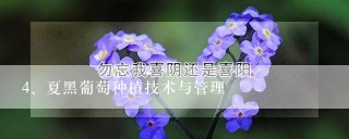 夏黑葡萄种植技术与管理