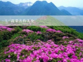 蔬菜名称大全