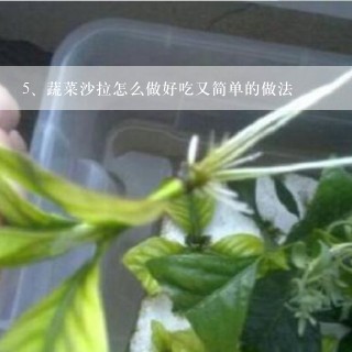 蔬菜沙拉怎么做好吃又简单的做法