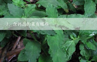 含钙高的菜有哪些