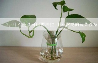 什么蔬菜可以做沙拉 十种常见的蔬菜沙拉