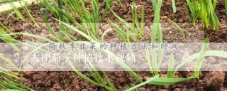 大棚茄子种植技术视频