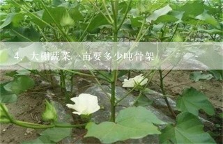 大棚蔬菜一亩要多少吨骨架