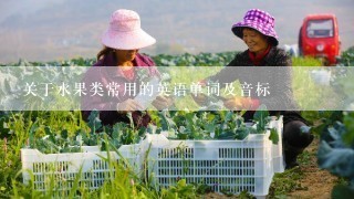 关于水果类常用的英语单词及音标