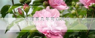 水果名字100种水果图片