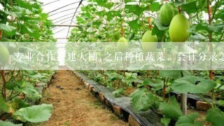 专业合作社建大棚,之后种植蔬菜，会计分录怎么做?比如建大棚时购买砖，钢筋，水管等等，现金付款，怎