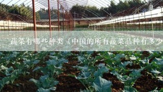 蔬菜有哪些种类（中国的所有蔬菜品种有多少种）