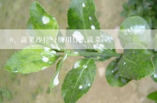 蔬菜沙拉一般用什么蔬菜