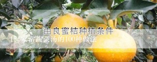 家常蔬菜汤的100种做法