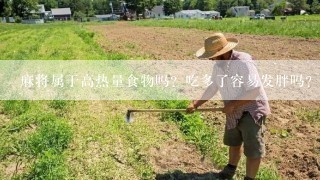 麻将属于高热量食物吗？吃多了容易发胖吗？