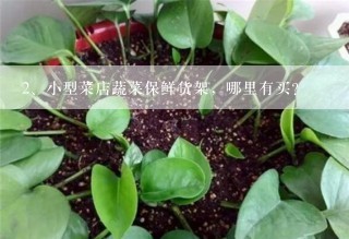 小型菜店蔬菜保鲜货架，哪里有买？