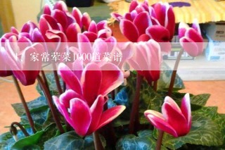 家常荤菜1000道菜谱