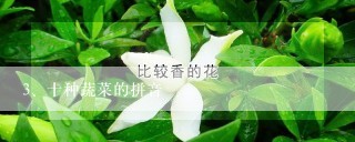 十种蔬菜的拼音