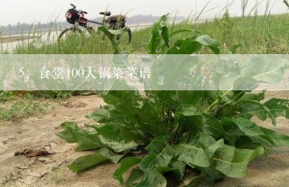 食堂100大锅菜菜谱