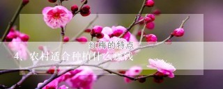 农村适合种植什么赚钱