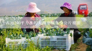 占地240平方米的大棚要用多少公斤棚膜