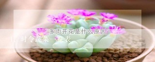 时令蔬菜一览表