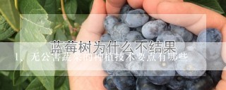 无公害蔬菜的种植技术要点有哪些