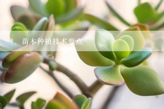 苗木种植技术要点