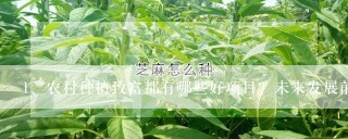 农村种植致富都有哪些好项目？未来发展前景如何？