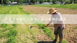 广东立夏种什么蔬菜广东立夏种的蔬菜