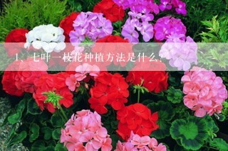 七叶一枝花种植方法是什么？