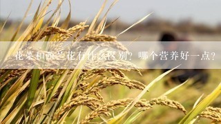 花菜和西兰花有什么区别？哪个营养好一点？