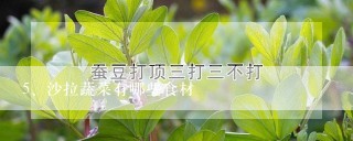 沙拉蔬菜有哪些食材