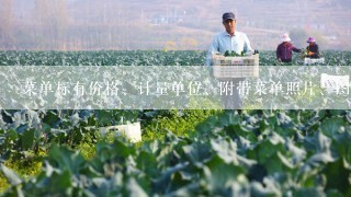 菜单标有价格、计量单位、附带菜单照片、图片、说明介绍，是餐厅重要的（）工具。