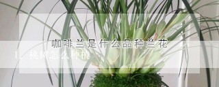 桃树怎么种植