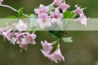 100种蔬菜名称？