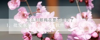 批发水果蔬菜用哪个软件