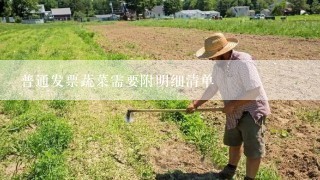 普通发票蔬菜需要附明细清单