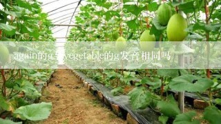 again的g与vegetable的g发音相同吗