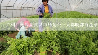 广州江南果菜批发市场是否一天都晚都有蔬菜批发的?