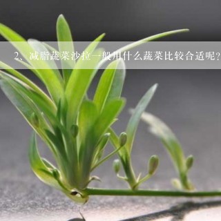 减脂蔬菜沙拉一般用什么蔬菜比较合适呢？具体的做法