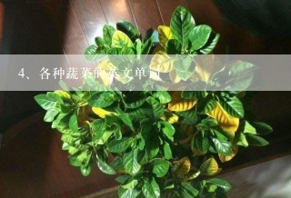 各种蔬菜的英文单词