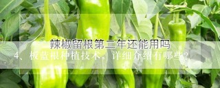 板蓝根种植技术，详细介绍有哪些？