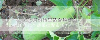 九江有几个蔬菜批发市场？