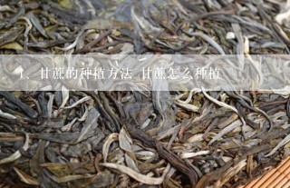 甘蔗的种植方法 甘蔗怎么种植