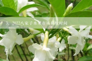 2022八家子水果市场开放时间