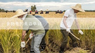 食物类的英语单词