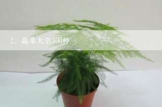 蔬菜大全100种