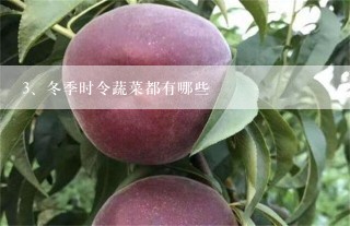 冬季时令蔬菜都有哪些