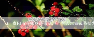 贵阳市有哪些蔬菜基地？本人想做蔬菜批发。注意，问