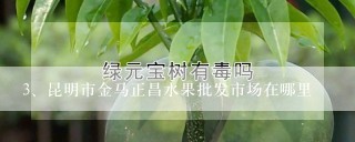 昆明市金马正昌水果批发市场在哪里